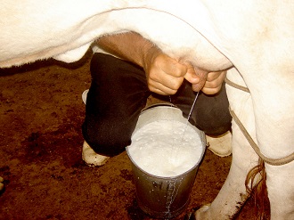 Produtores de leite de Carlos Barbosa foram capacitados (Foto: Banco de Imagens)